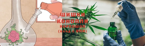 мет Бородино