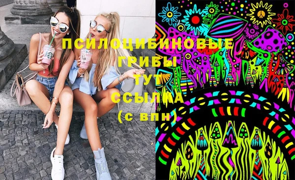 мет Бородино